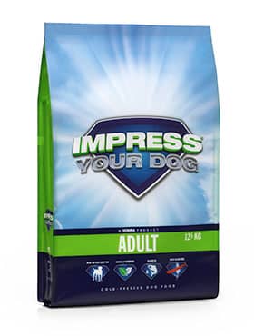 Impress Your Dog Adult