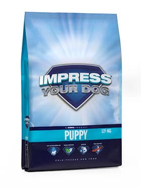 Impress Your Dog Puppy