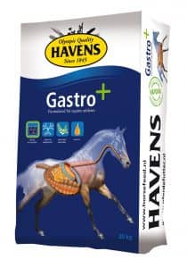 Havens Gastro+ 20kg
