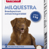 Milquestra Hond