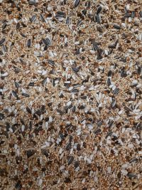 Grote Parkietenzaad p/kg