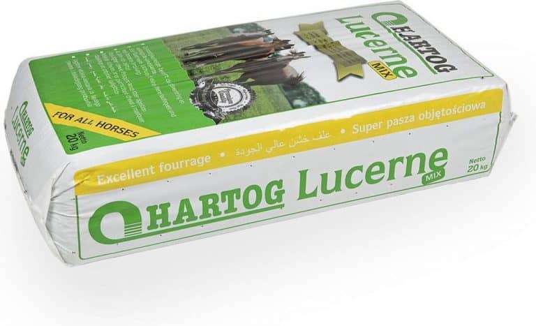 Hartog