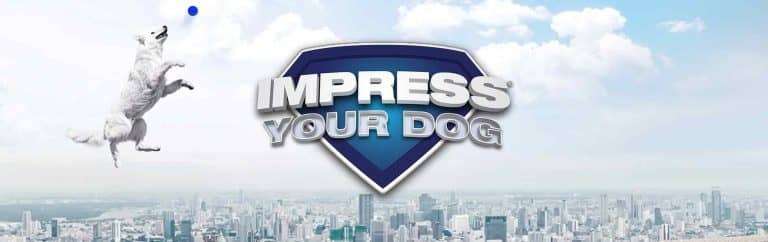 Impress Your Dog