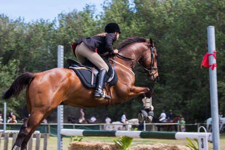 Ruitersport