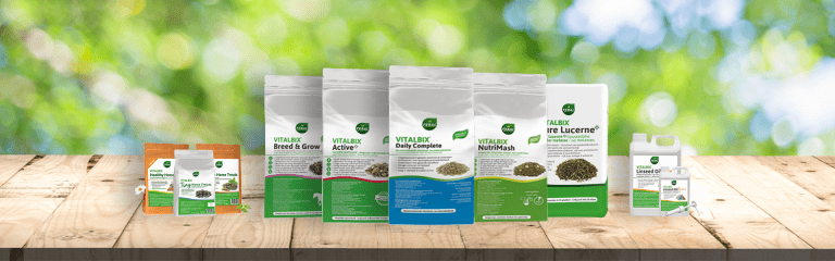 Vitalbix