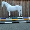 Cavaletti 3mtr - Afbeelding 2