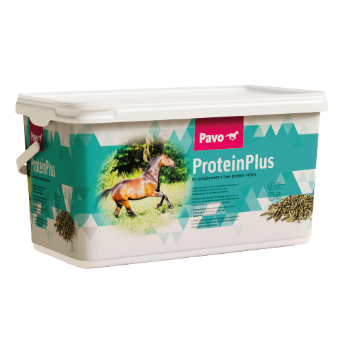 Pavo ProteinPlus 7kg