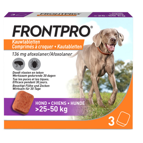 Frontpro Hond XLarge