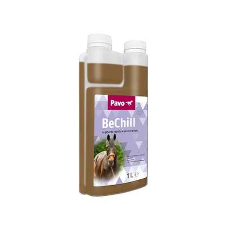 Pavo BeChill 1ltr