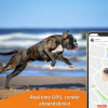 Weenect GPS Tracker Hond - Afbeelding 5