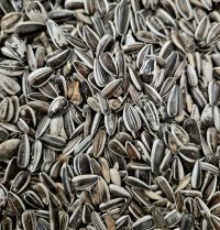 Zonnebloempitten gestreept 1kg