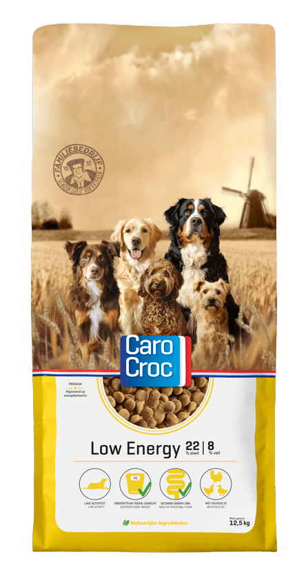 Carocroc Low Energy