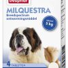 Milquestra Hond - Afbeelding 2