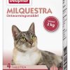 Milquestra Kat - Afbeelding 2