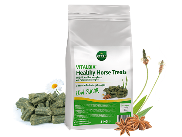 Vitalbix Healthy Horse Treats Anijs 1kg