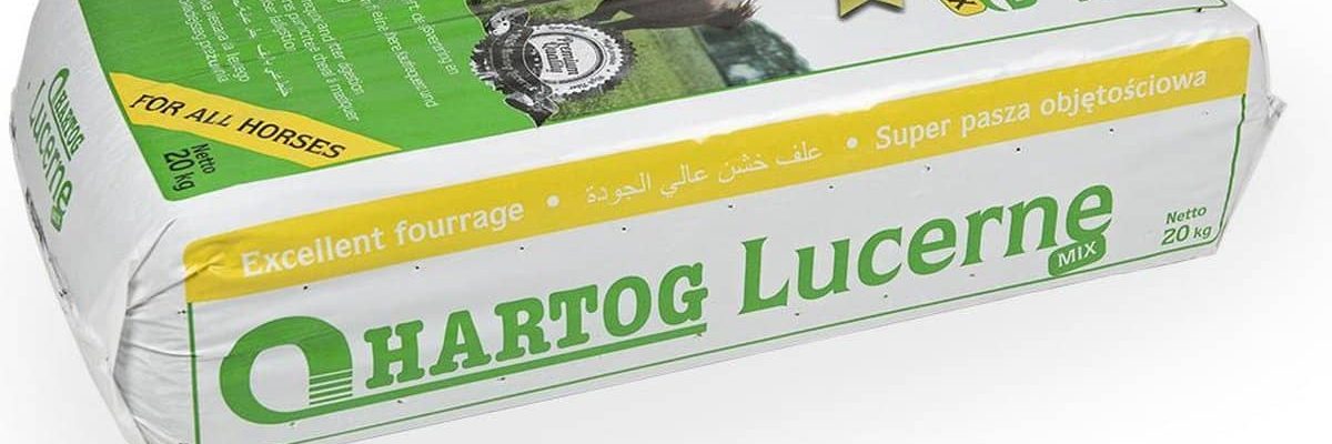 hartog