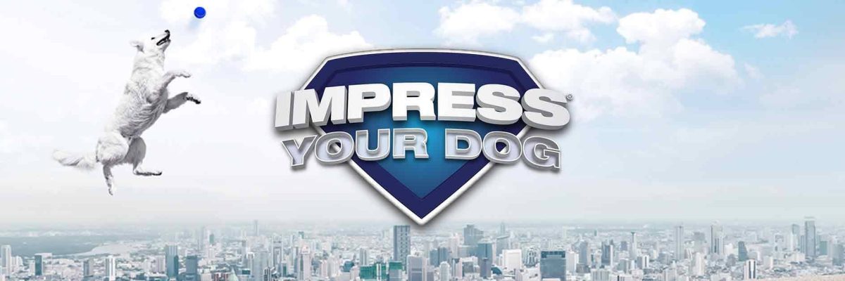 impress_your_dog_header-2000x629