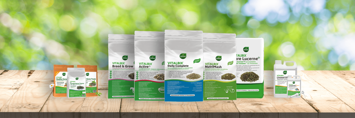 vitalbix-header